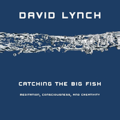 Catching the Big Fish: Meditation, Consciousness, and Creativity