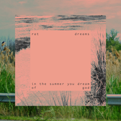 in the summer you dream of god
