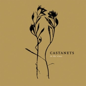 Castanets: In The Vines