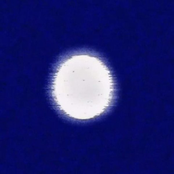 Someone's Here (Game Version)