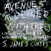 Avenues All Lined With Trees