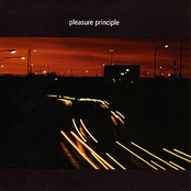 Pleasure Principle