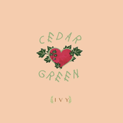 Cedar Green: Ivy