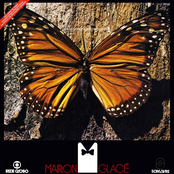 Marron Glacé - Internacional