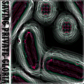 Saving Private Gloria