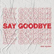 say goodbye