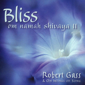 Bliss: Om Namah Shivaya II