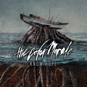 Steadfast by The Color Morale