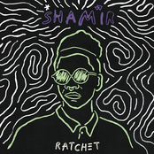 On The Regular by Shamir