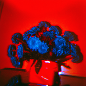 high spirits bouquet