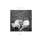 Wild Cub: Youth