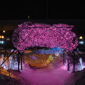 optimism songs 2k14 (music for forgetting yr name)