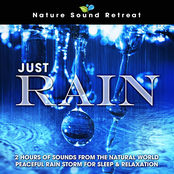 Just Rain: 2 Hours of Sounds from the Natural World Peaceful Rain Storm for Sleep & Relaxation