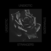 Unexotic: Strangers