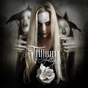 Love Is An Illusion by Trillium