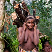 bayaka pygmies