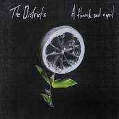 The Districts: A Flourish And A Spoil
