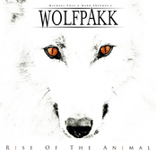 Rise Of The Animal (FO1131CD)
