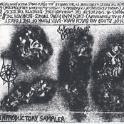 Introductory Sampler