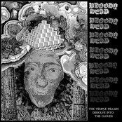 The Temple Pillars Dissolve Into The Clouds (2021, Hominid Sounds)