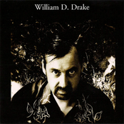 The Perfect Crime by William D. Drake