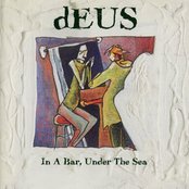 Roses by dEUS
