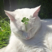 LUCKY_500_GG12_JC_EDIT