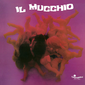 Il Mucchio