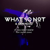 If You Only Knew (feat. Daniel Johns)
