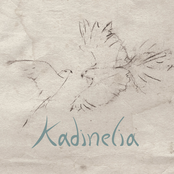 Kadinelia