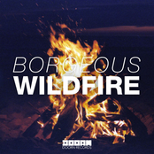 Wildfire by Borgeous