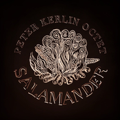 Salamander
