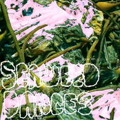 Seaweed Dances