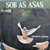 Sob as Asas