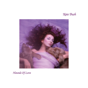 Kate Bush - Hounds Of Love Artwork