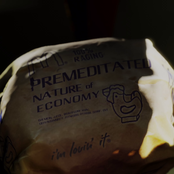 The Premeditated Nature Of Economy