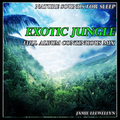 Nature Sounds for Sleep: Exotic Jungle