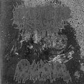 Sanguinary Nervous Spasm / Sexchange