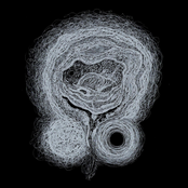 The Commercial Single