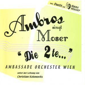 Der Weana Braucht Kan Pass by Wolfgang Ambros