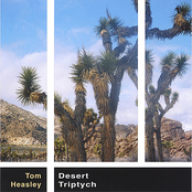 Joshua Tree by Tom Heasley