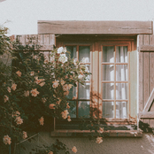 Hey Don't Be Surprised If One Day I Just