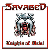 Knights Of Metal