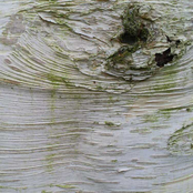 Sunrise Over Nightmare Park (2005)