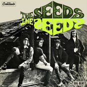 It's A Hard Life by The Seeds