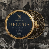 BELUGA
