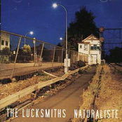 There Is A Boy That Never Goes Out by The Lucksmiths