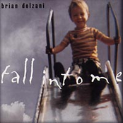 Brian Dolzani: Fall Into Me