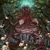 Unclean Rituals