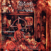 Sublime Vile Anomalies